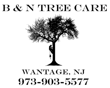 NJ Tree Service from B & N Tree Care Wantage NJ